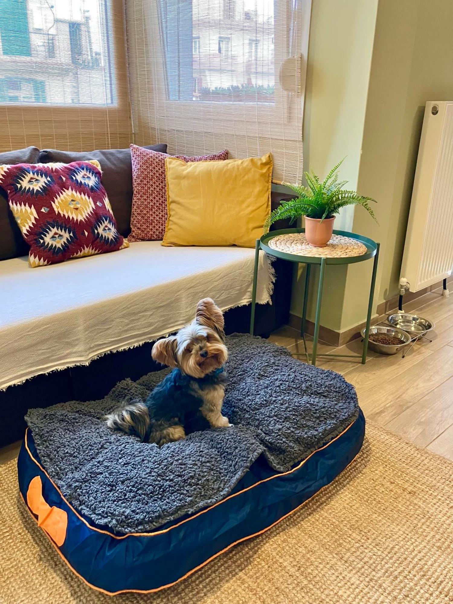 Super Cute & Cozy Mini Studios In City Center 테살로니키 외부 사진